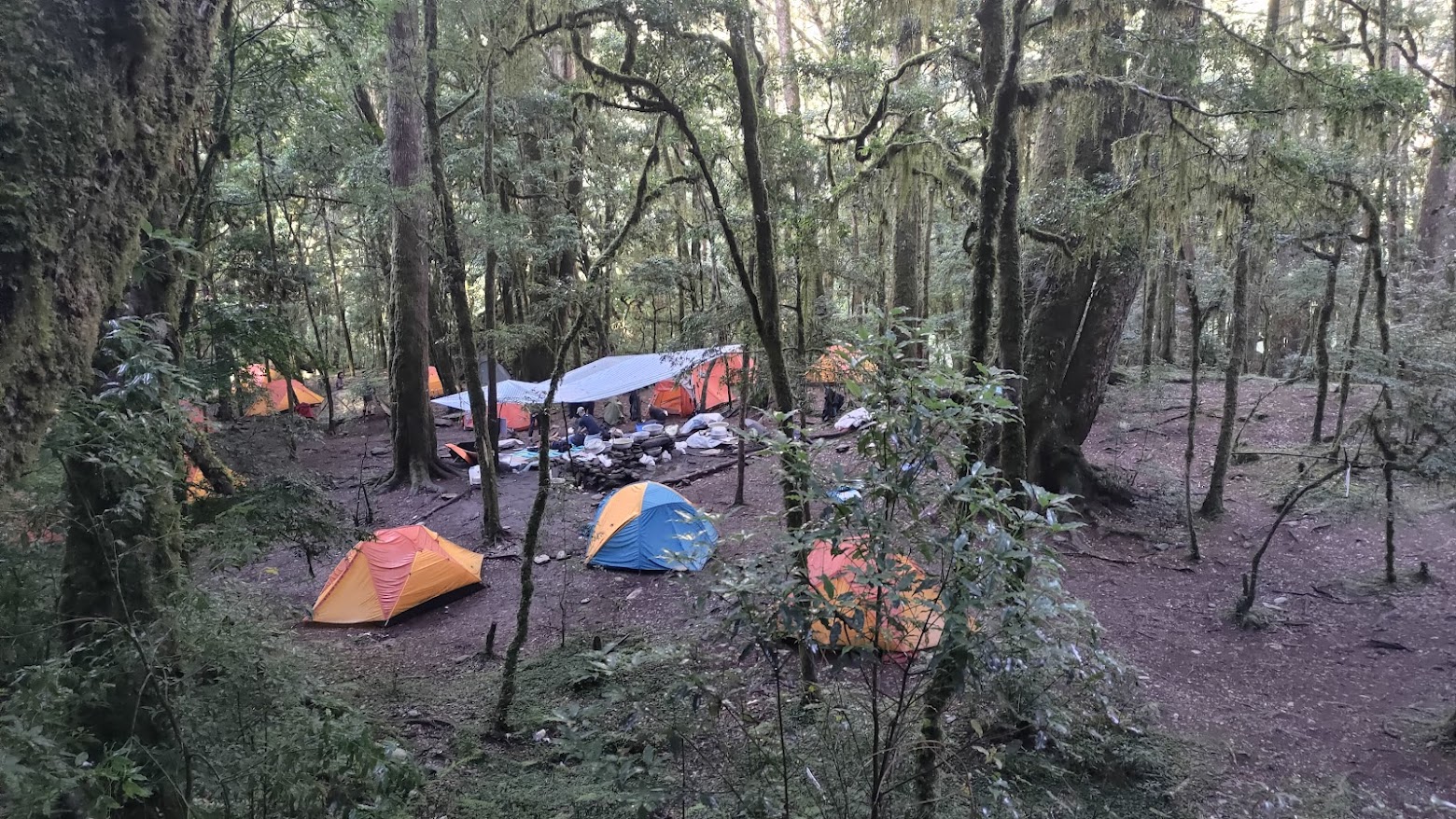 08/20~ 10/29東海大學推廣教育:登山初學者必備-登山知能與技巧實務